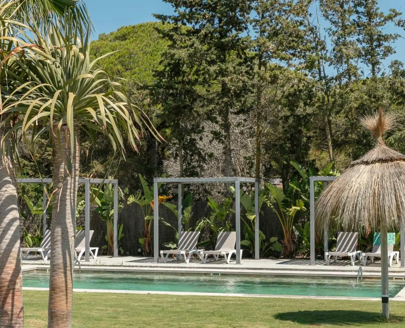 Alojamiento Rural Finca Azucena Suite Only Adults Conil De La Frontera Apartment