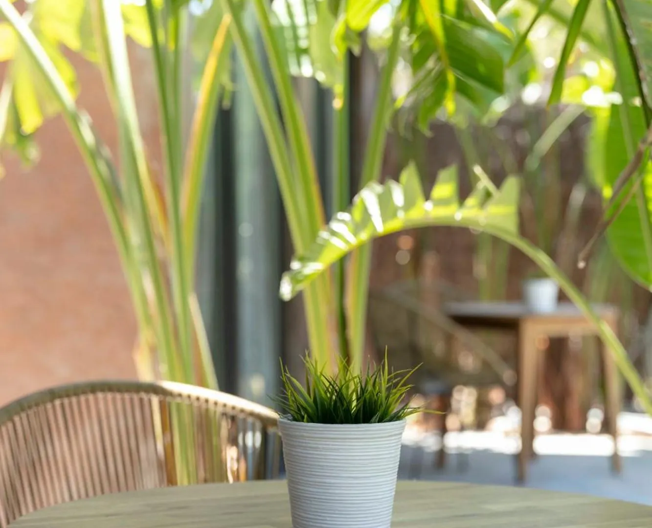 Alojamiento Rural Finca Azucena Suite Only Adults Conil De La Frontera 0*,  Spain