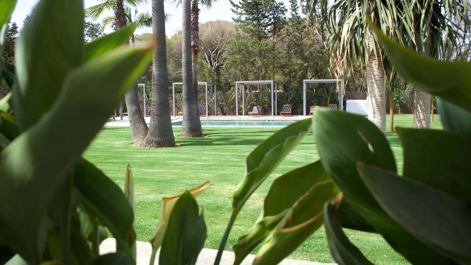דירה קוניל דה לה פרונטרה Alojamiento Rural Finca Azucena Suite Only Adults