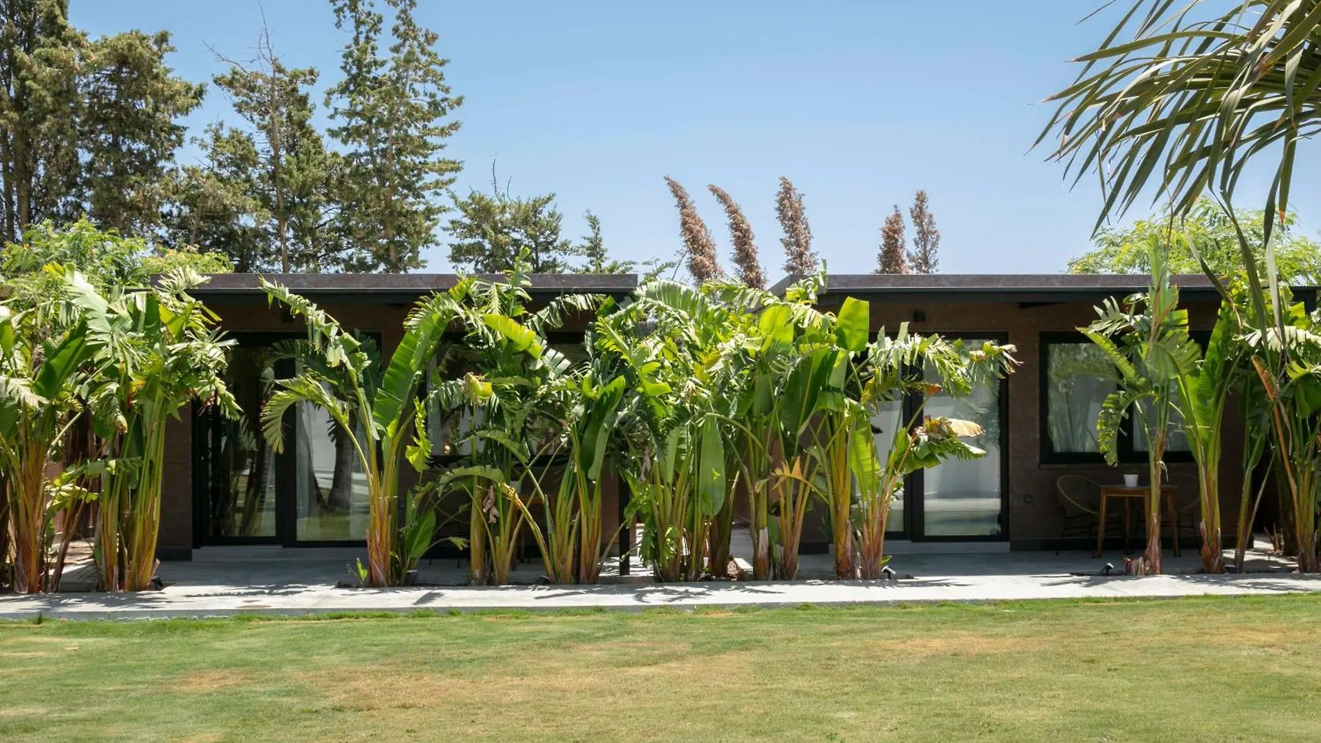 קוניל דה לה פרונטרה Alojamiento Rural Finca Azucena Suite Only Adults ספרד